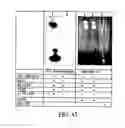 Fig. 44 - Molecular detection systems utilizing reiterative oligonucleotide synthesis