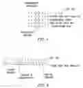 Fig. 02 - Chip-based speciation and phenotypic characterization of microorganisms