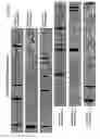 Fig. 22 - Chip-based speciation and phenotypic characterization of microorganisms
