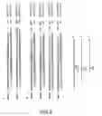 Fig. 03 - Methods for synthesizing polynucleotides using a single primer