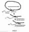 Fig. 07 - Methods for synthesizing polynucleotides using a single primer