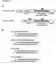 Fig. 22 - Methods and agents for regulating angiotensin activity