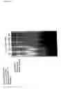 Fig. 34 - Methods and agents for regulating angiotensin activity