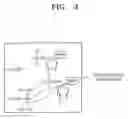Fig. 04 - Method of hybridizing genes