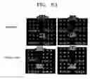 Fig. 06 - Method of hybridizing genes
