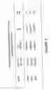 Fig. 07 - Immunogen