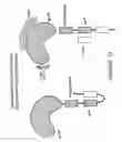 Fig. 16 - Immunogen