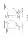 Fig. 28 - Immunogen