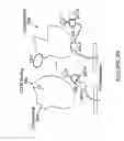 Fig. 30 - Immunogen