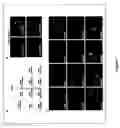 Fig. 04 - Methods and compositions for modulating CHK2 pathways and methods for screening for same