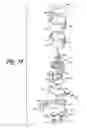 Fig. 34 - Method for performing multi-formatted assays