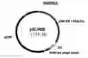 Fig. 04 - Processes for purifying and for detecting target double-stranded DNA sequences by triple helix interaction
