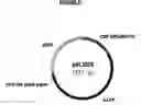 Fig. 06 - Processes for purifying and for detecting target double-stranded DNA sequences by triple helix interaction