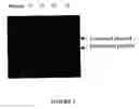 Fig. 08 - Reversible association of nucleic acid with a carboxylated substrate