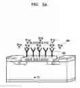 Fig. 04 - FET-type biosensor with surface modification