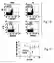 Fig. 03 - Protein a based binding domains with desirable activities
