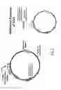 Fig. 03 - Methods and compositions for directed gene assembly