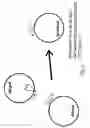 Fig. 04 - Methods and compositions for directed gene assembly