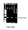 Fig. 25 - Methods and compositions for directed gene assembly