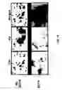 Fig. 02 - Method to diagnose and evaluate progression of Alzheimer's disease