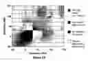 Fig. 07 - Parallel inducible cell-based kinase screen