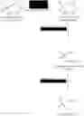 Fig. 04 - DNA for encoding D-hydantoin hydrolases, DNA for encoding N-carbamyl-D-amino acid hydrolases, recombinant DNA containing the genes, cells transformed with the recombinant DNA, methods for producing proteins utilizing the transformed cells and methods for producing D-amino acids