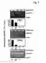Fig. 08 - Newly identified cholinephosphotransferases and ethanolaminephosphotransferases