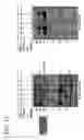Fig. 15 - hSLIM modulates immune responses