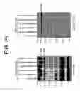 Fig. 46 - hSLIM modulates immune responses