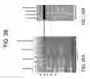 Fig. 49 - hSLIM modulates immune responses
