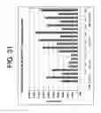 Fig. 52 - hSLIM modulates immune responses