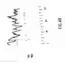Fig. 110 - Novel genes encoding proteins having prognostic, diagnostic, preventive, therapeutic, and other uses