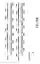 Fig. 233 - Novel genes encoding proteins having prognostic, diagnostic, preventive, therapeutic, and other uses