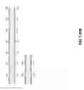 Fig. 285 - Novel genes encoding proteins having prognostic, diagnostic, preventive, therapeutic, and other uses