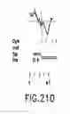 Fig. 445 - Novel genes encoding proteins having prognostic, diagnostic, preventive, therapeutic, and other uses