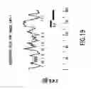Fig. 50 - Novel genes encoding proteins having prognostic, diagnostic, preventive, therapeutic, and other uses