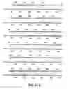 Fig. 91 - Novel genes encoding proteins having prognostic, diagnostic, preventive, therapeutic, and other uses