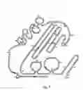Fig. 02 - Coagulation Factor VII polypeptides