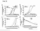 Fig. 12 - Modified transferrin fusion proteins