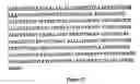Fig. 19 - Recombinant bovine thrombin
