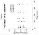 Fig. 17 - Variant CBH2 cellulases