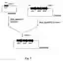 Fig. 08 - Method of producing succinic acid with bacterium comprising a modified fumarate reductase gene or a modified succinate dehydrogenase gene