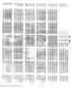 Fig. 08 - Extracellular serine protease