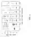 Fig. 07 - Compositions and methods for enhancing the immunogenicity of antigens
