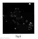 Fig. 09 - Enriched pancreatic stem cell and progenitor cell populations, and methods for identifying, isolating and enriching for such populations