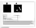 Fig. 06 - Induction of RNA Interference by Aberrant RNA