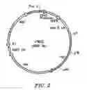 Fig. 03 - Amplifiable adeno-associated virus (AAV) packaging cassettes for the production of recombinant AAV vectors