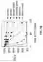 Fig. 07 - Formulations for therapeutic viruses having enhanced storage stability