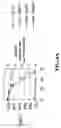 Fig. 10 - Formulations for therapeutic viruses having enhanced storage stability