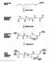 Fig. 01 - Water-soluble conjugates for electrochemical detection